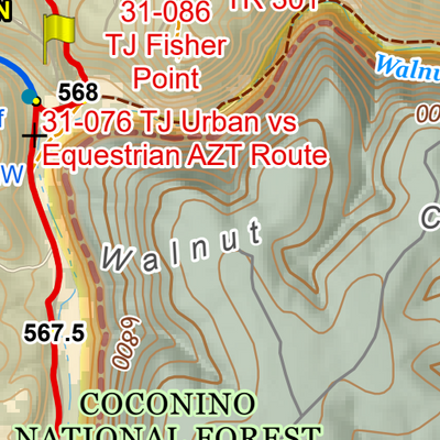 ANST Topo Map Alt33-1 Flagstaff 1 Preview 3