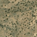 ASciS Solutions Hopi Tile 20 digital map