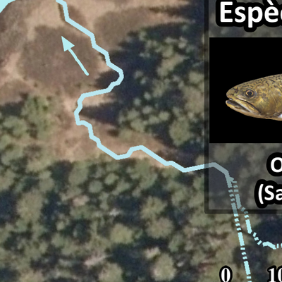 Zec Batiscan-Neilson / Lac Cinq Cents Preview 3