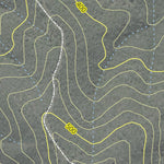 Bingara State Forest 2024 Preview 2