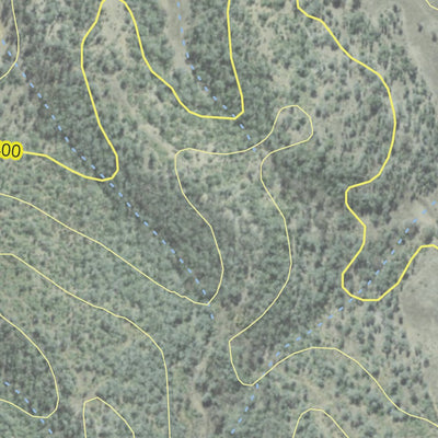 Bingara State Forest 2024 Preview 3
