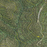 Dampier State Forest 2024 - West Preview 3