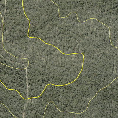 Leard State Forest 2024 Preview 3