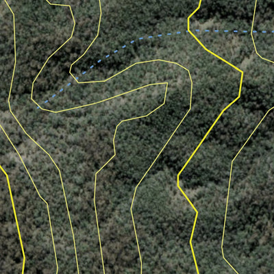 Benbraggie State Forest 2024 Preview 3