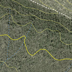 Vickery State Forest 2024 Preview 2