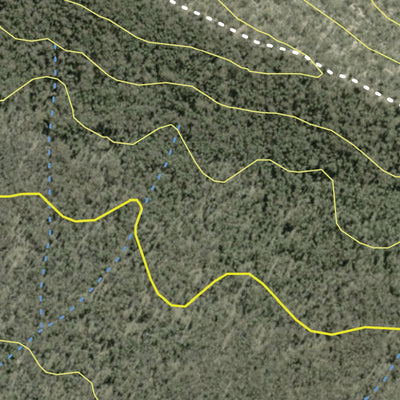 Vickery State Forest 2024 Preview 2