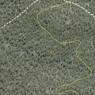 Vickery State Forest 2024 Preview 3