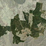 Jenolan State Forest 2024 Preview 1