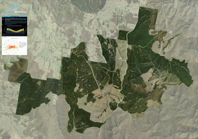 Jenolan State Forest 2024 Preview 1