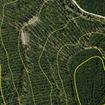 Jenolan State Forest 2024 Preview 2