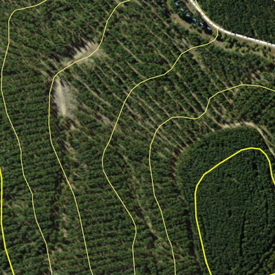 Jenolan State Forest 2024 Preview 2