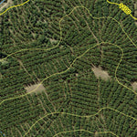 Jenolan State Forest 2024 Preview 3