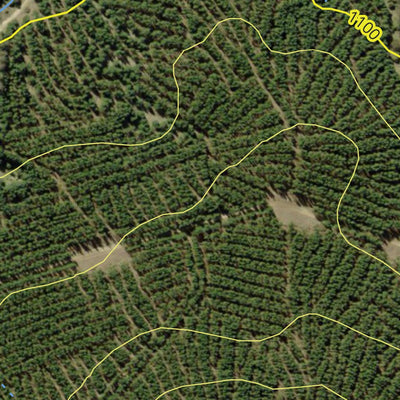 Jenolan State Forest 2024 Preview 3