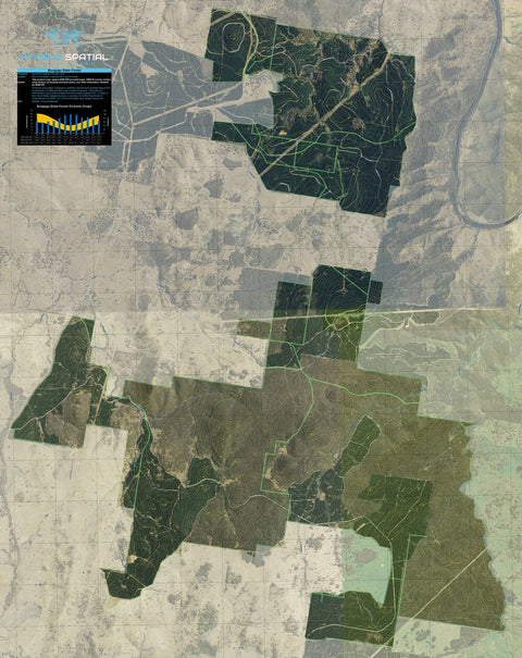 Bungogo State Forest Preview 1