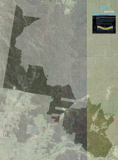 Tantawangalo State Forest Preview 1
