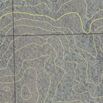 Tantawangalo State Forest Preview 2