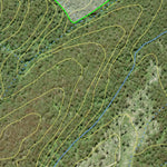 Tantawangalo State Forest Preview 3
