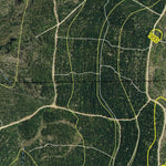 Billapaloola State Forest Preview 2