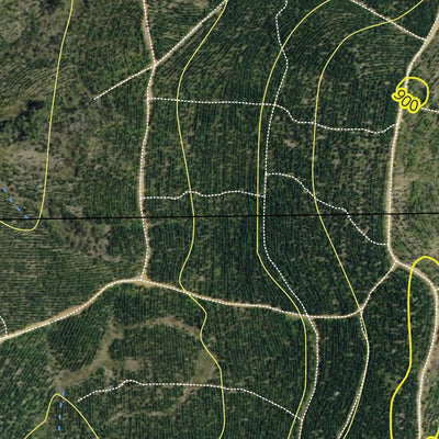 Billapaloola State Forest Preview 2