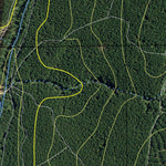 Billapaloola State Forest Preview 3