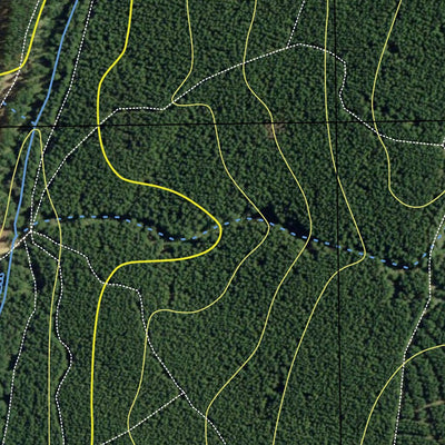 Billapaloola State Forest Preview 3