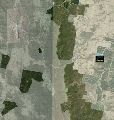 Tallaganda State Forest - Central Preview 1
