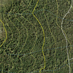 Tallaganda State Forest - Central Preview 3