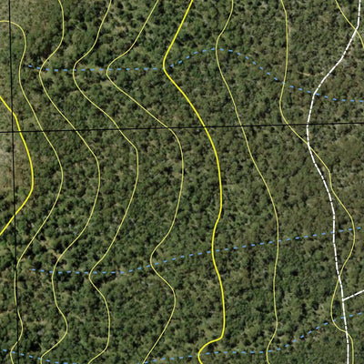 Tallaganda State Forest - Central Preview 3