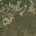 Athena Spatial Bago State Forest 2024 - Central digital map