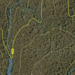 Athena Spatial Bago State Forest 2024 - Central digital map