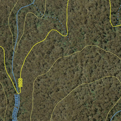 Athena Spatial Bago State Forest 2024 - Central digital map