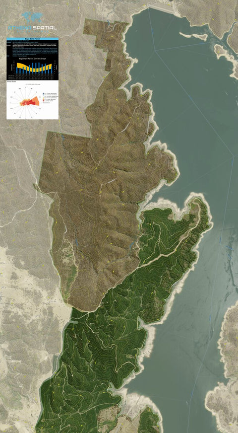 Athena Spatial Bago State Forest 2024 - North digital map