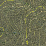 Athena Spatial Bago State Forest 2024 - Northcentral digital map