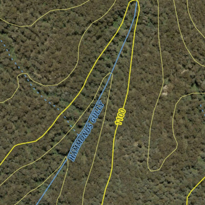 Athena Spatial Bago State Forest 2024 - Southwest digital map