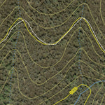 Athena Spatial Bago State Forest 2024 - Southwest digital map