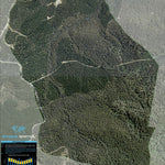 Athena Spatial Bombala State Forest 2024 digital map