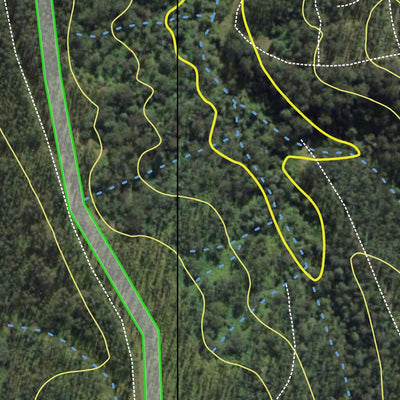 Boorabee State Forest Preview 3