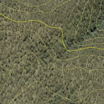 Athena Spatial Brother State Forest 2024 digital map