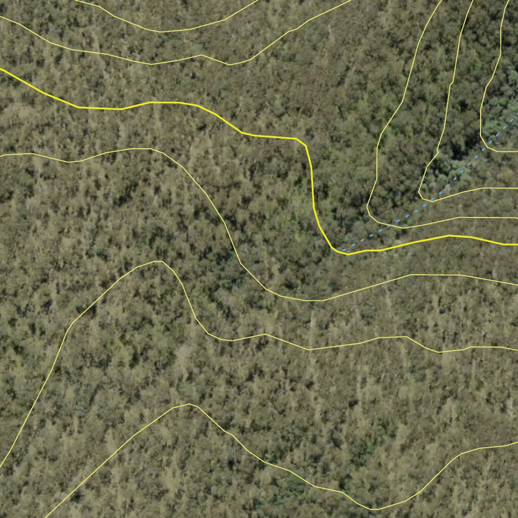 Brother State Forest 2024 Map by Athena Spatial | Avenza Maps