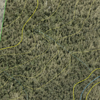 Athena Spatial Brother State Forest 2024 digital map