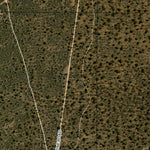 Buckingbong State Forest Preview 2