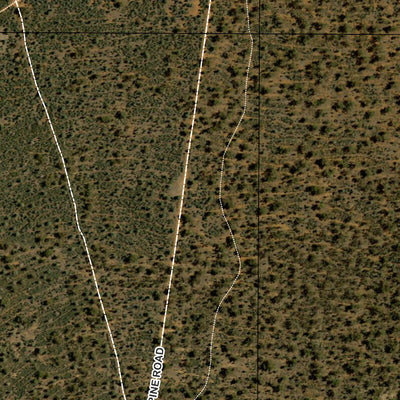 Buckingbong State Forest Preview 2