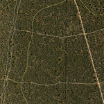Buckingbong State Forest Preview 3