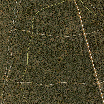 Buckingbong State Forest Preview 3