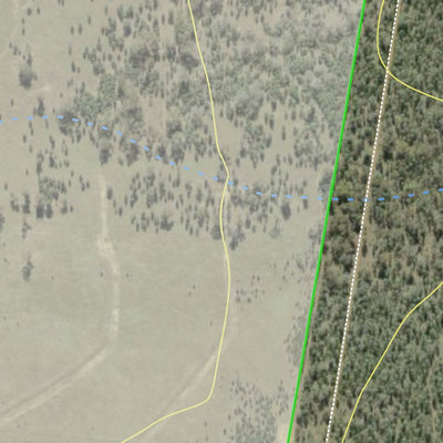 Doona State Forest Preview 2