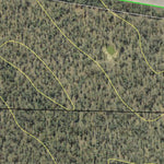 Doona State Forest Preview 3