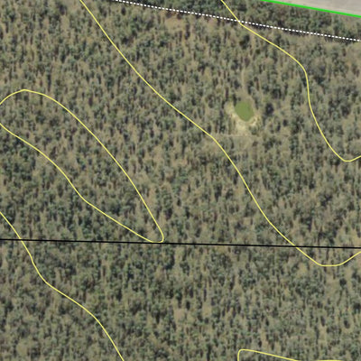 Doona State Forest Preview 3