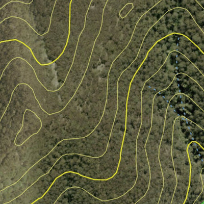 Athena Spatial Hampton State Forest 2024 digital map