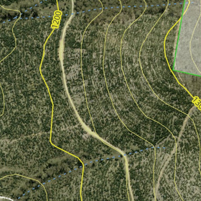 Athena Spatial Hampton State Forest 2024 digital map