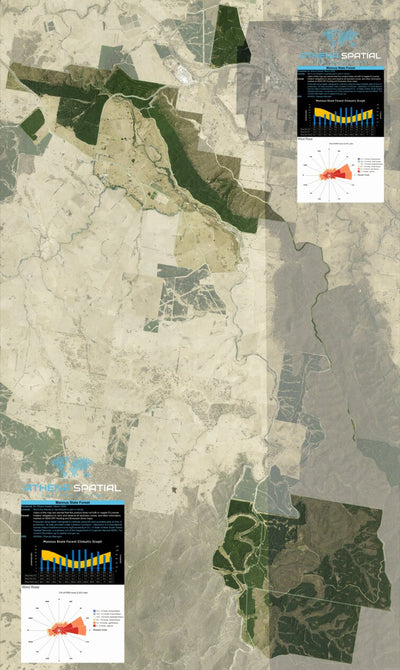 Athena Spatial Mannus State Forest 2024 digital map